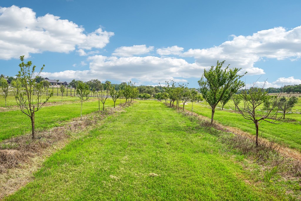 main property photo 75