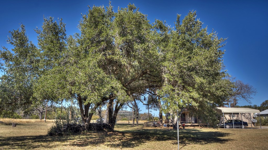 main property photo 11