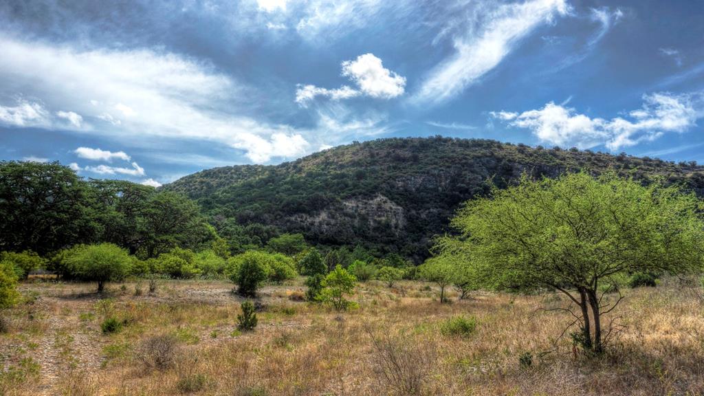 main property photo 53