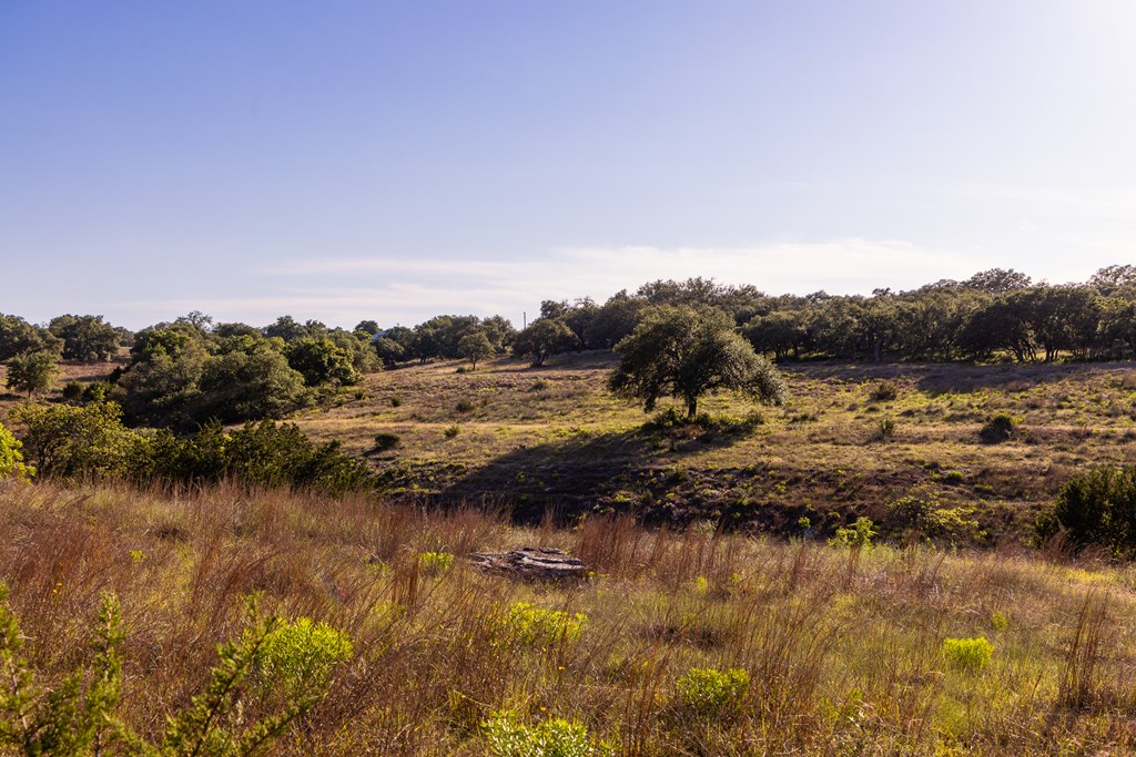 main property photo 65