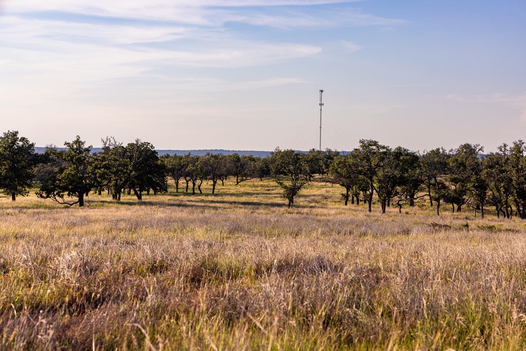 main property photo 68