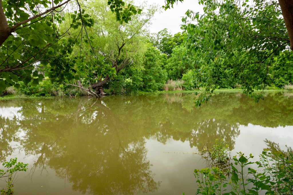 main property photo 39