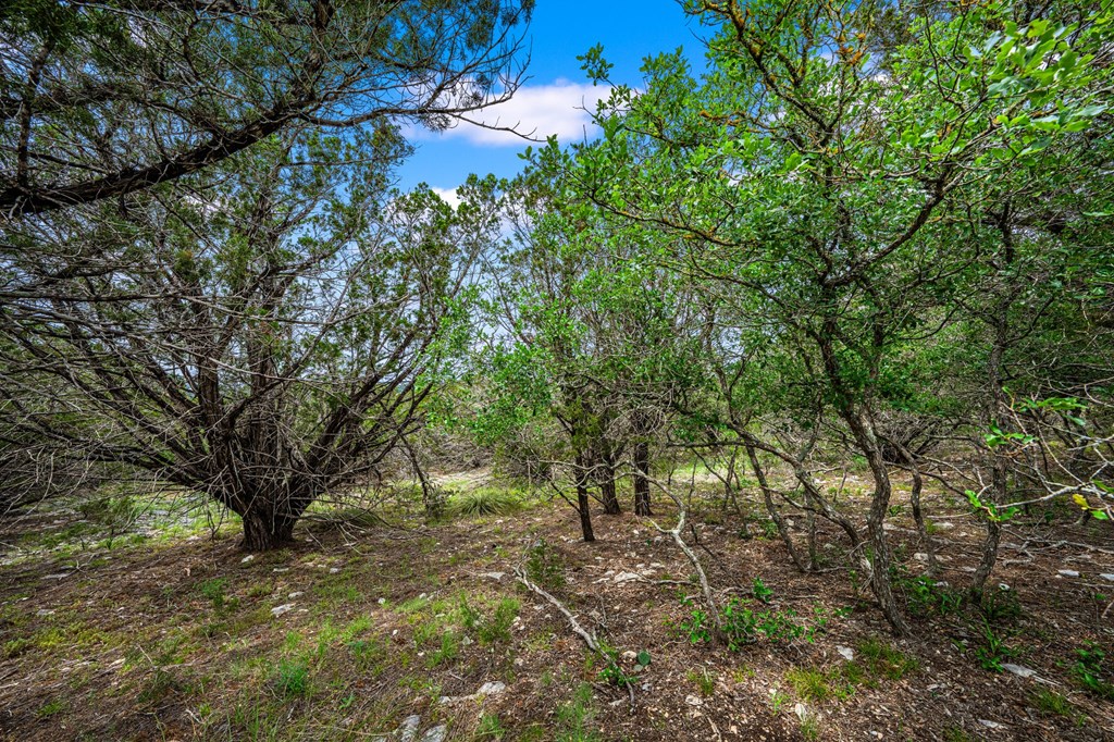 main property photo 11