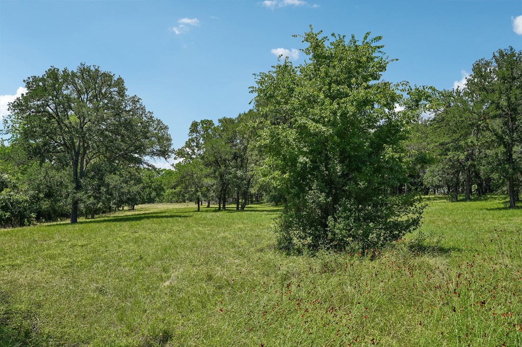 main property photo 50