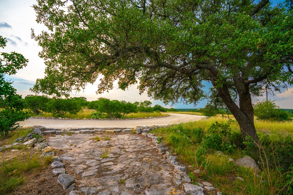 main property photo 42