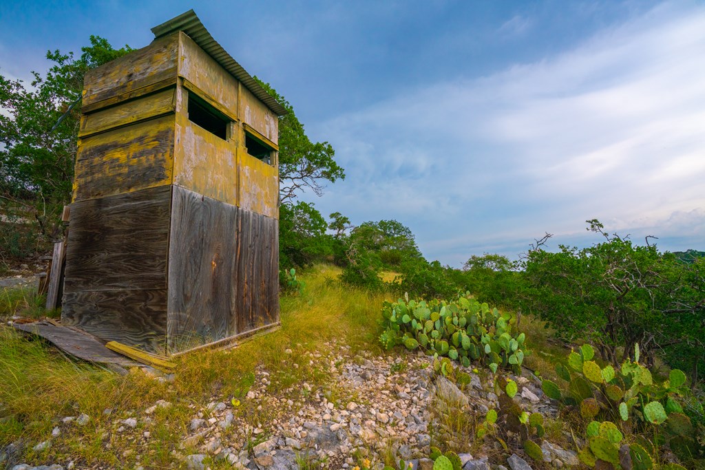 main property photo 46