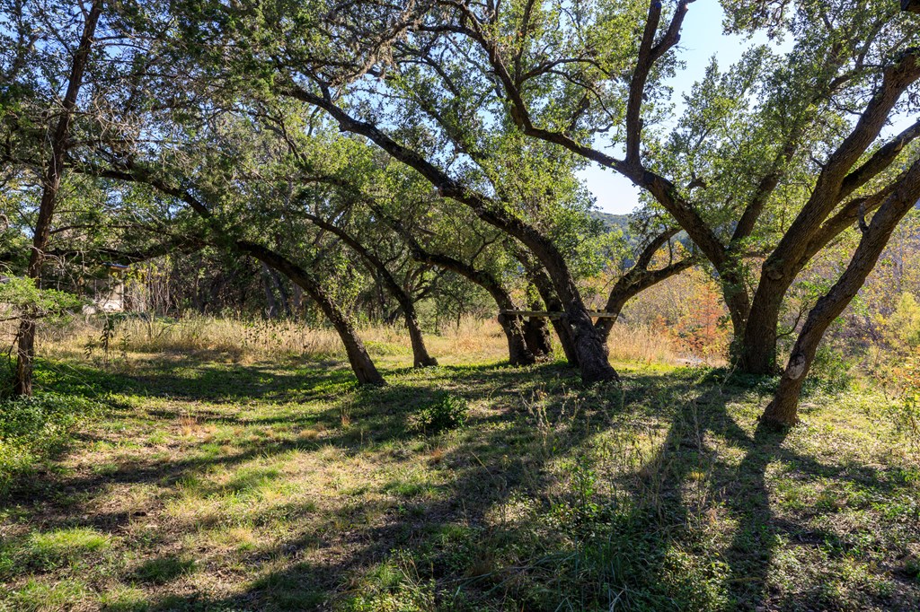 main property photo 39