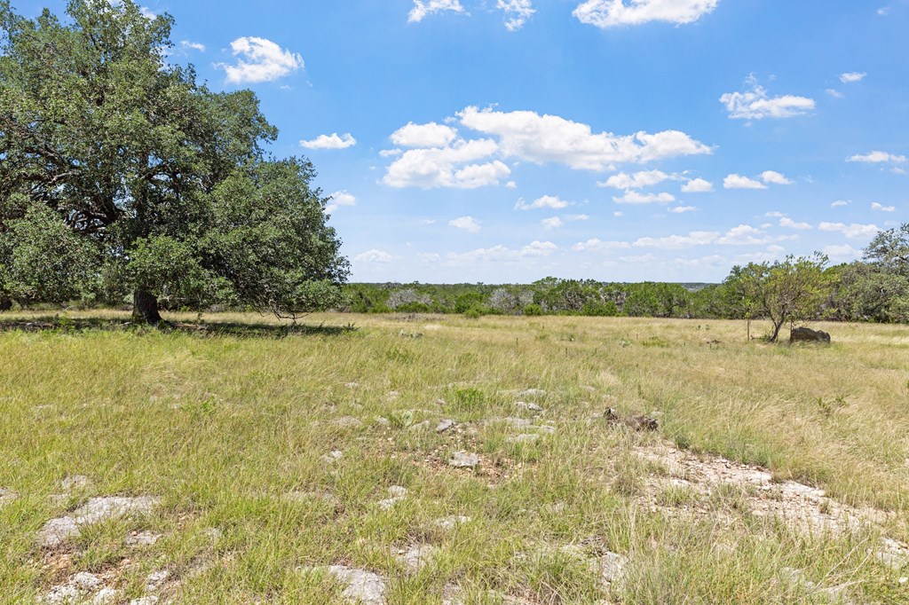 main property photo 55