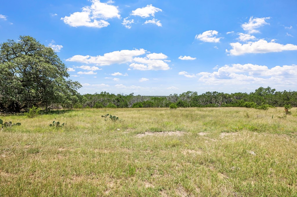 main property photo 56