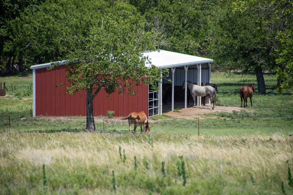 main property photo 63