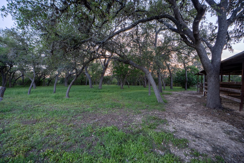 main property photo 52
