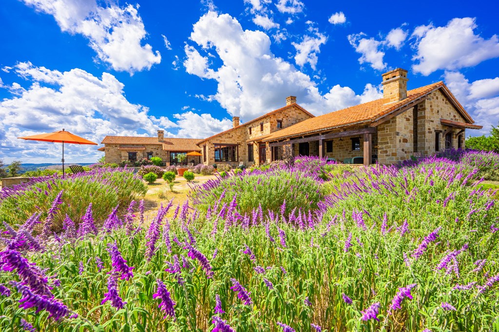 main property photo 75