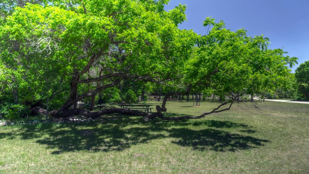 main property photo 62