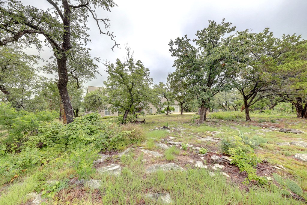 main property photo 53