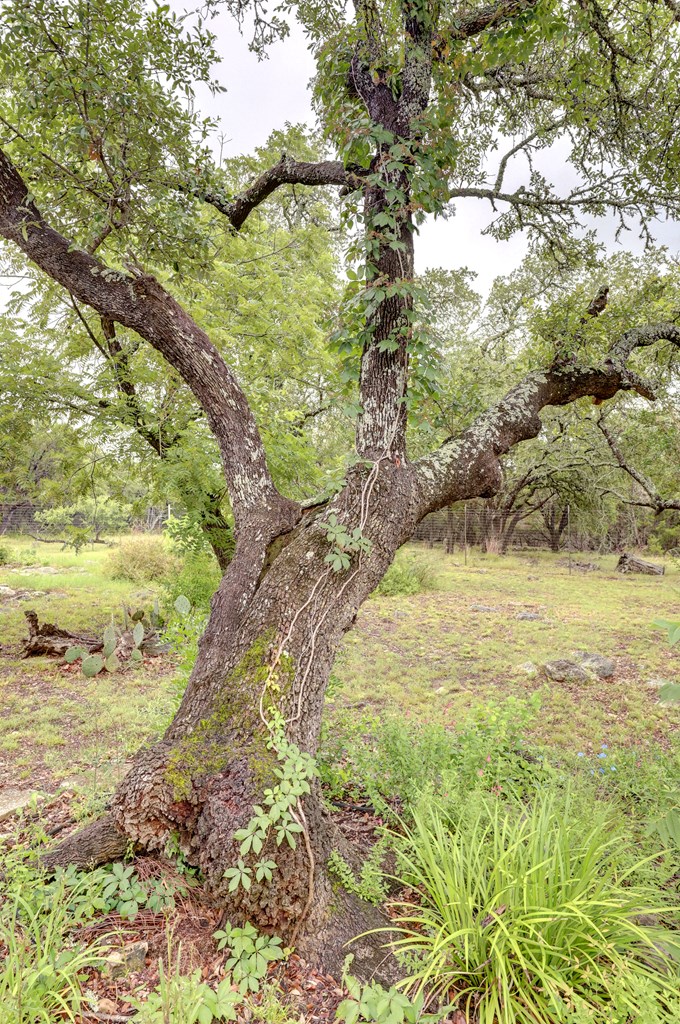 main property photo 55