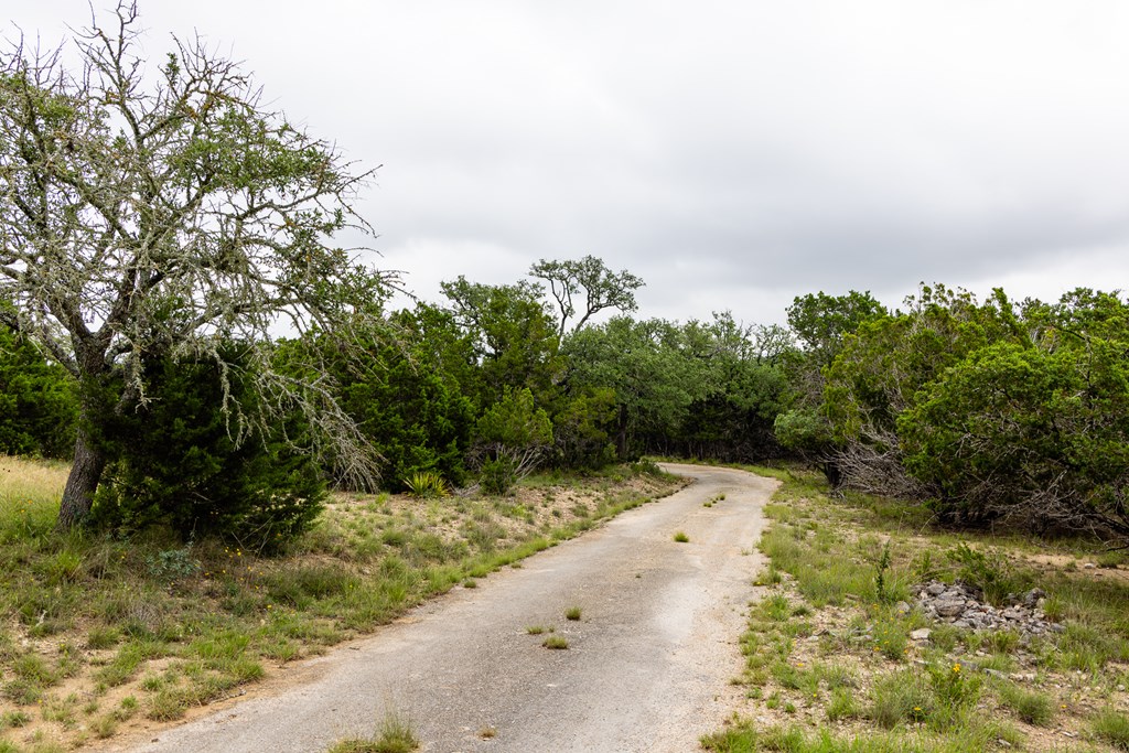 main property photo 38