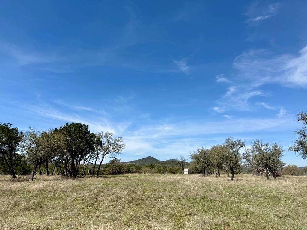 main property photo 78
