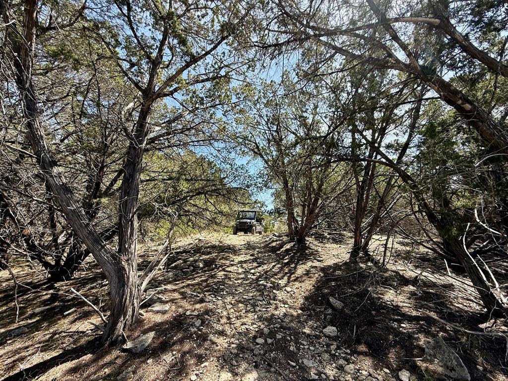 main property photo 85