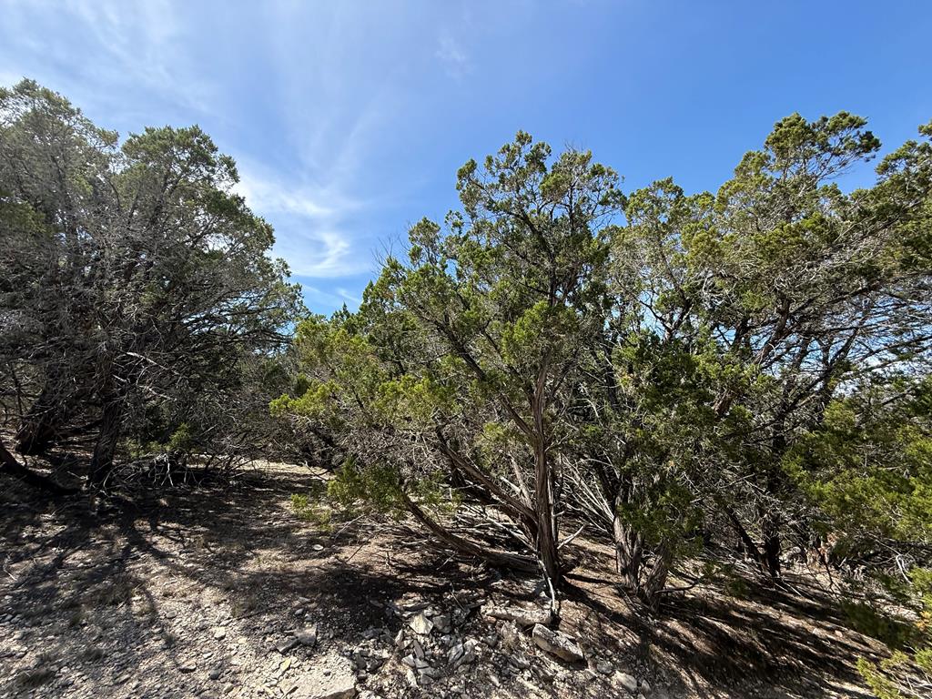 main property photo 86