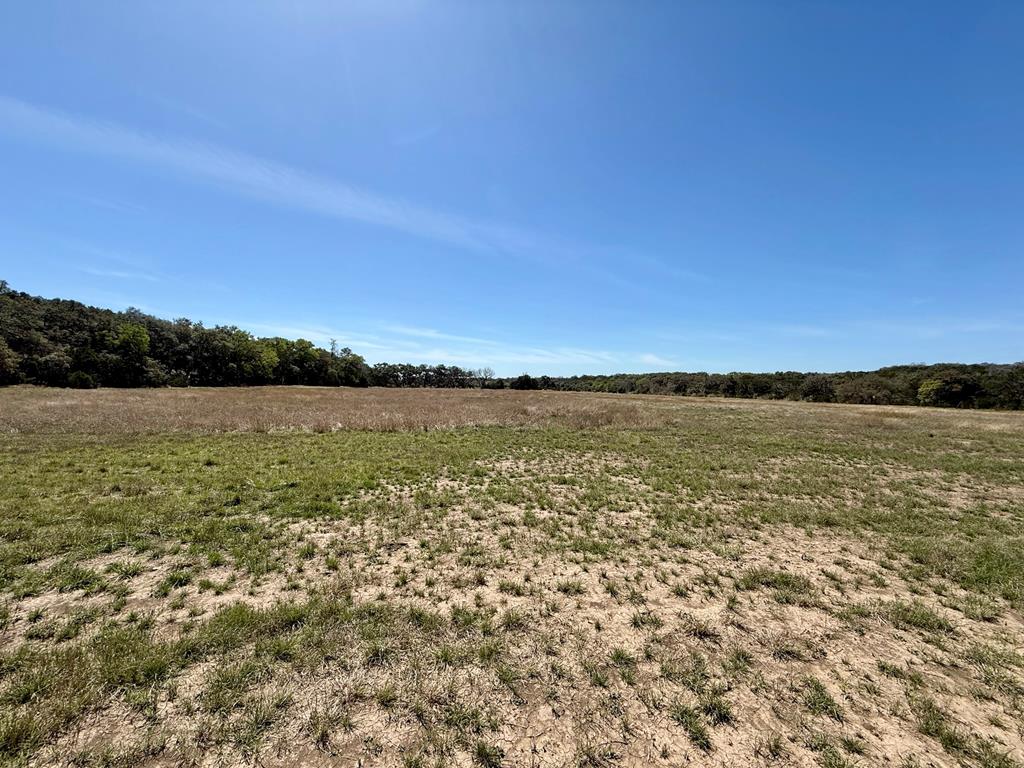main property photo 89
