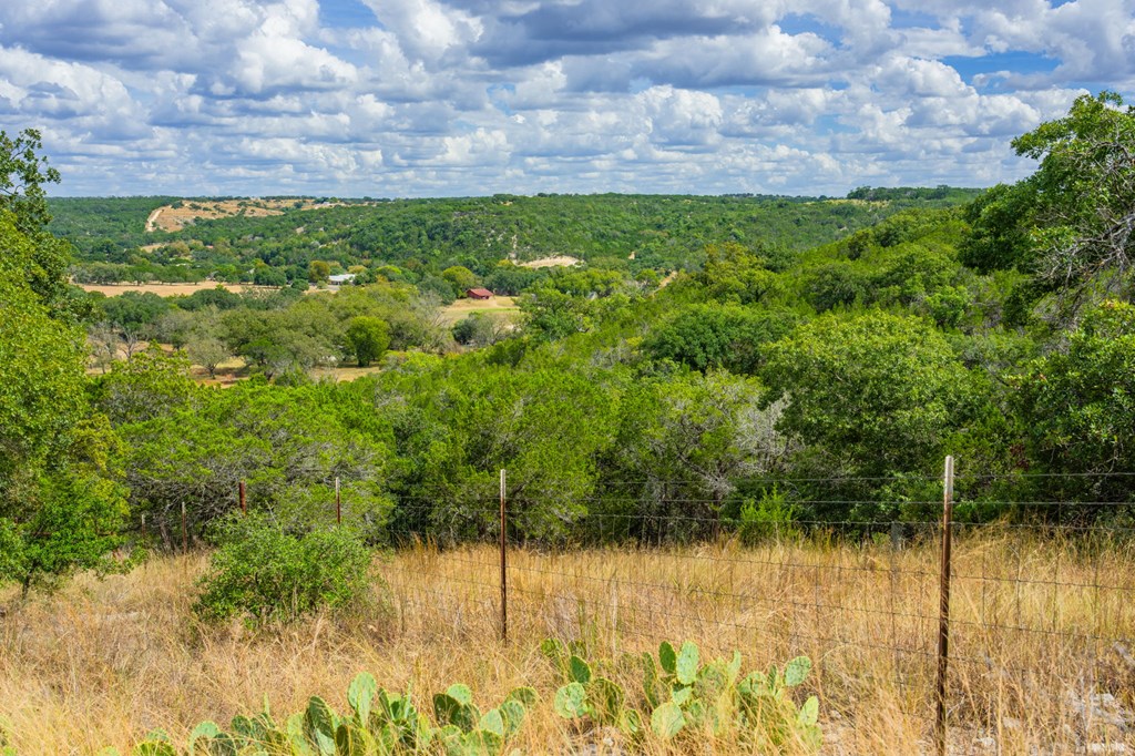 main property photo 39
