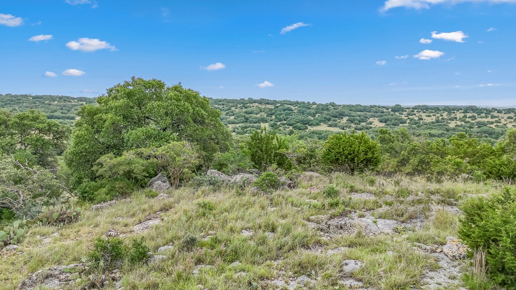 main property photo 48