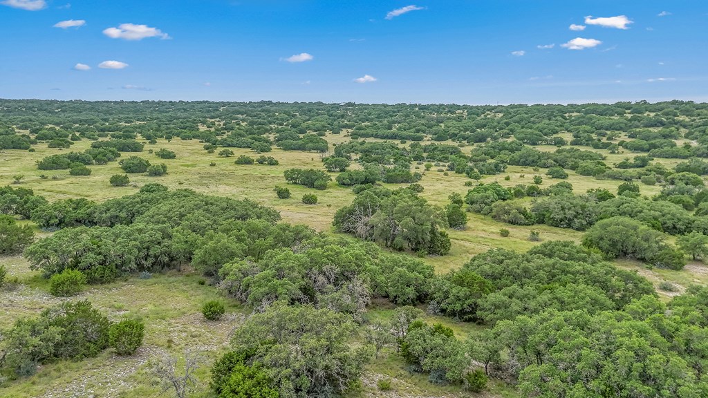 main property photo 53