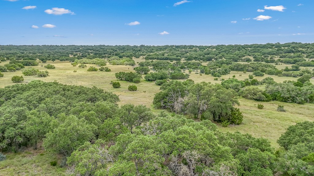 main property photo 56