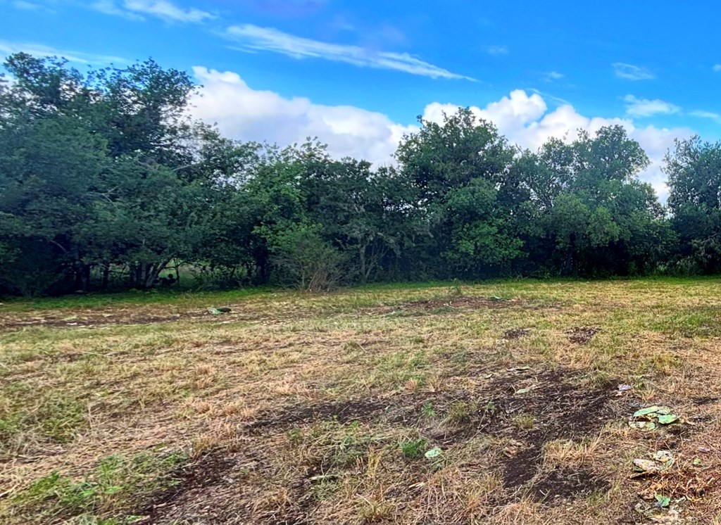 main property photo 6