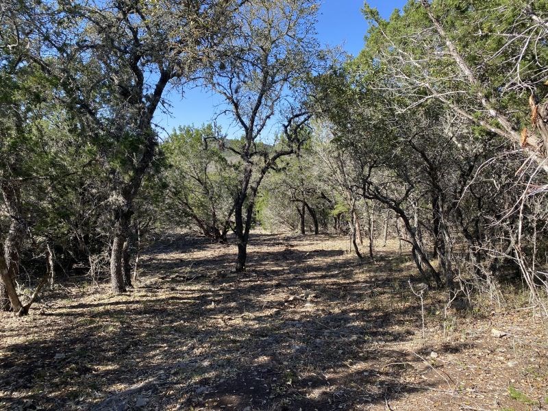 main property photo 21