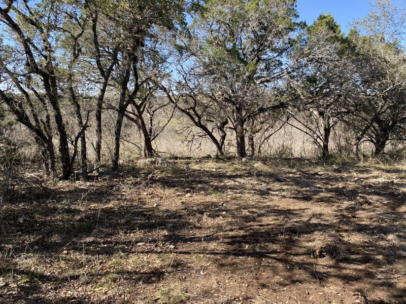 main property photo 26