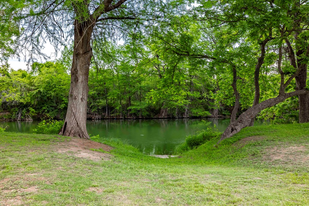 main property photo 46