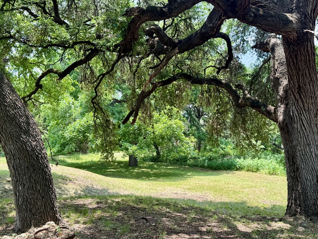 main property photo 13