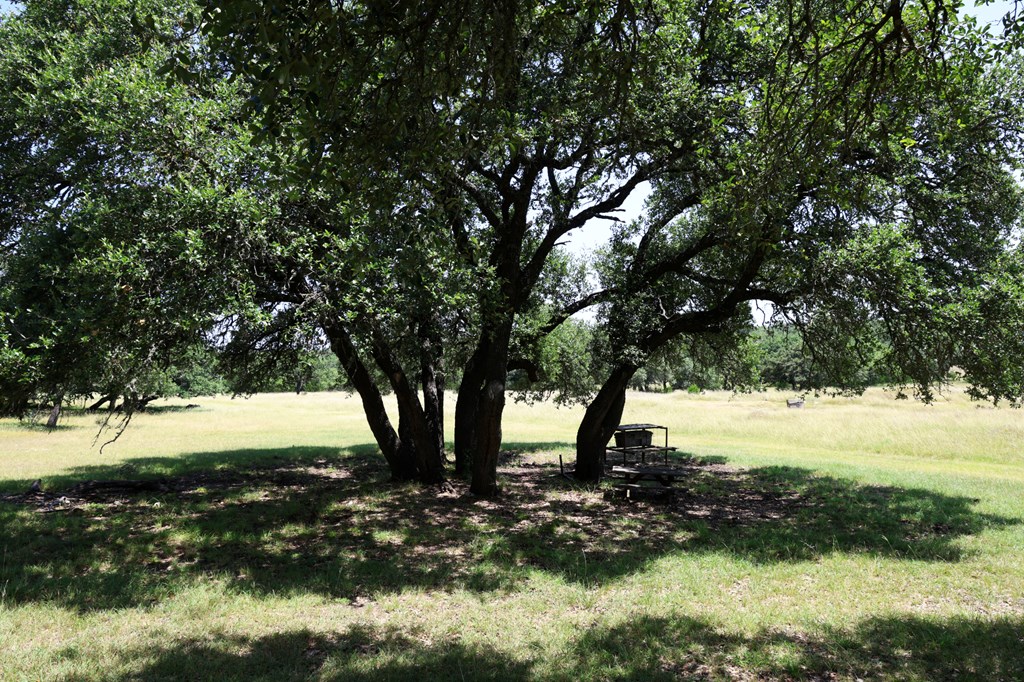 main property photo 11