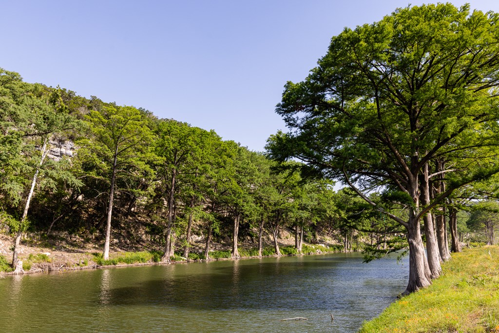 main property photo 77