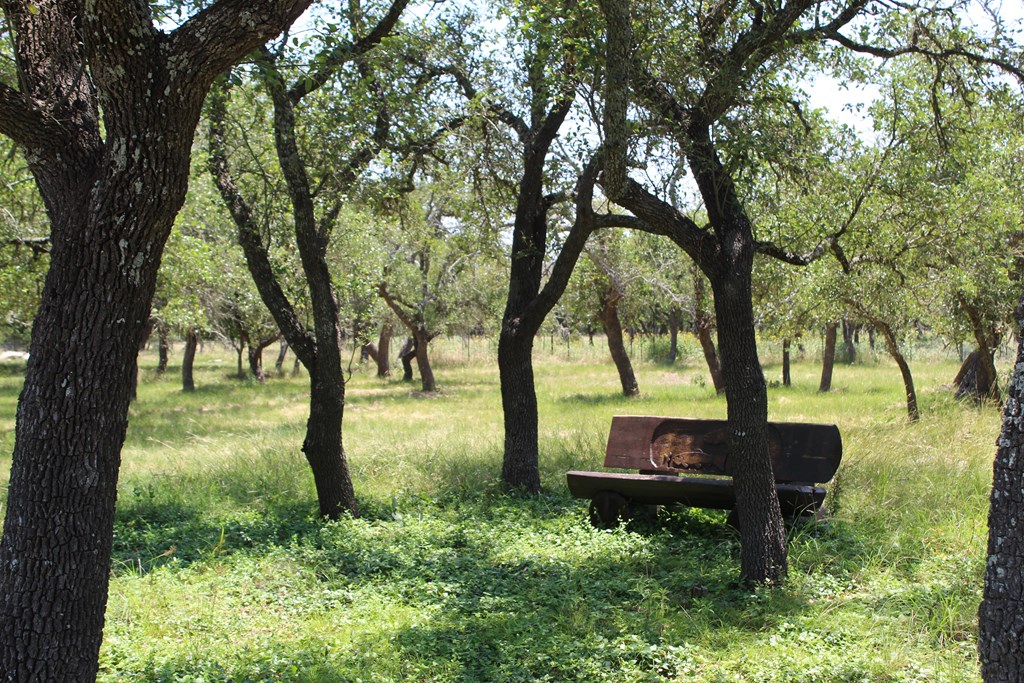 main property photo 22