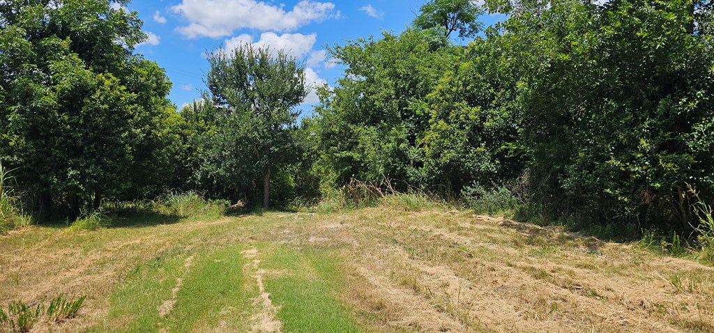 main property photo 23