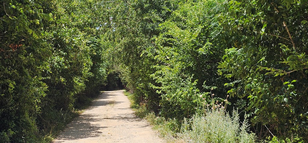 main property photo 25