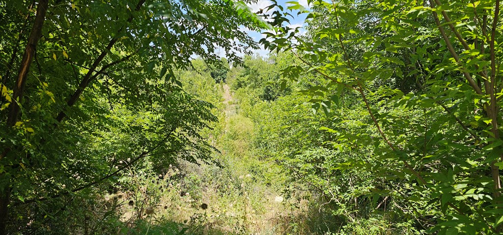 main property photo 26