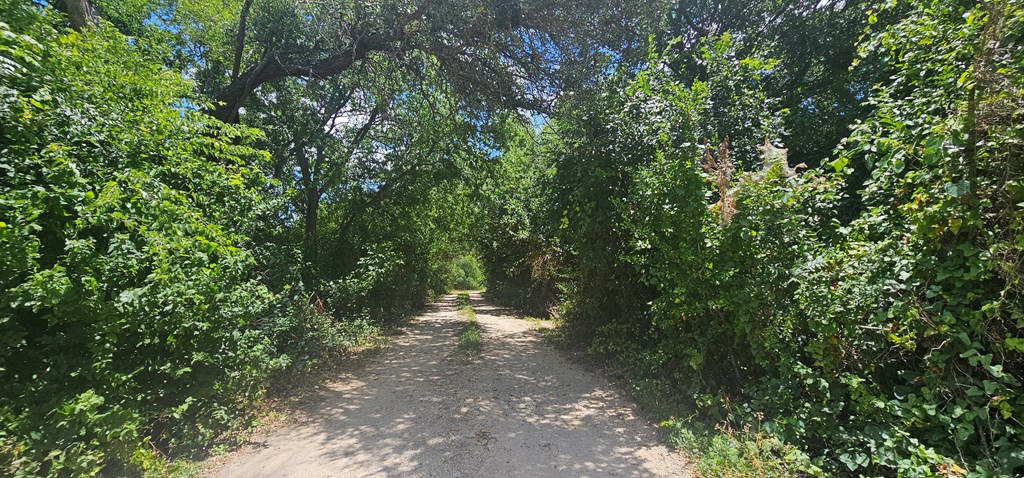 main property photo 4