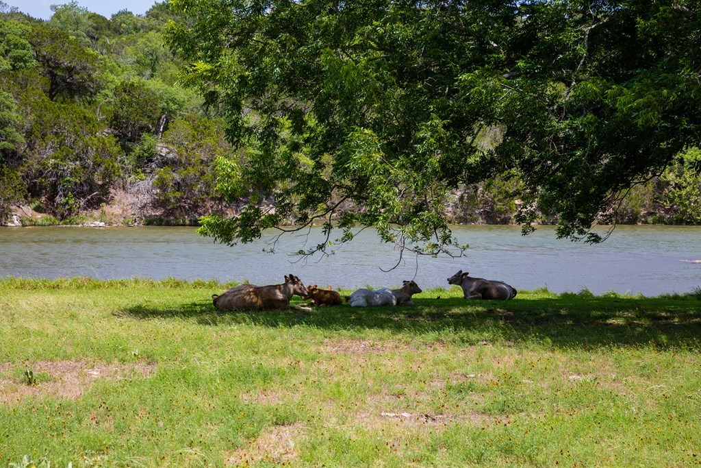 main property photo 45