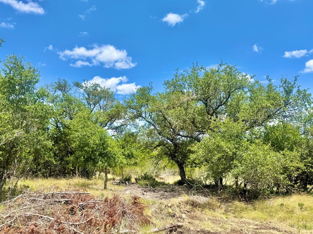 main property photo 10