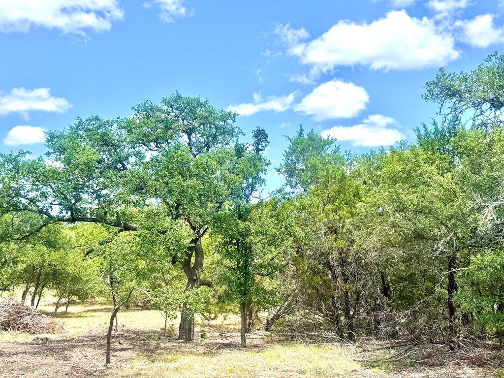 main property photo 11