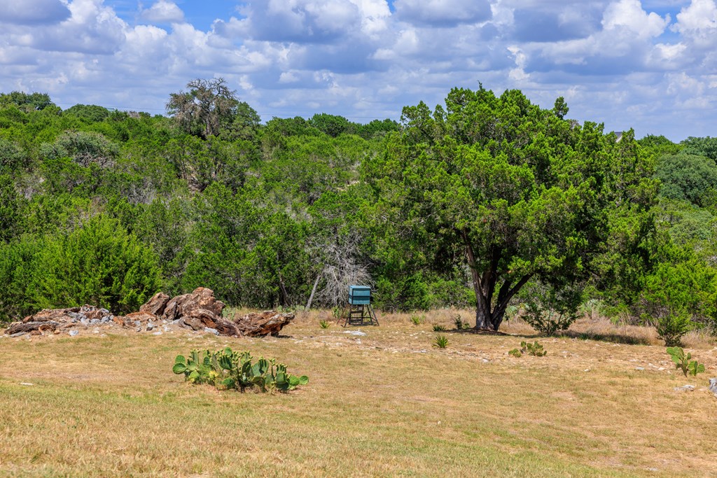 main property photo 51