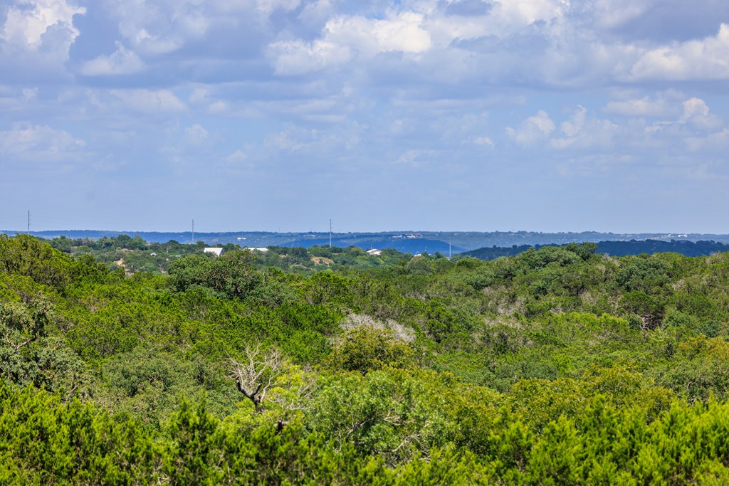 main property photo 61