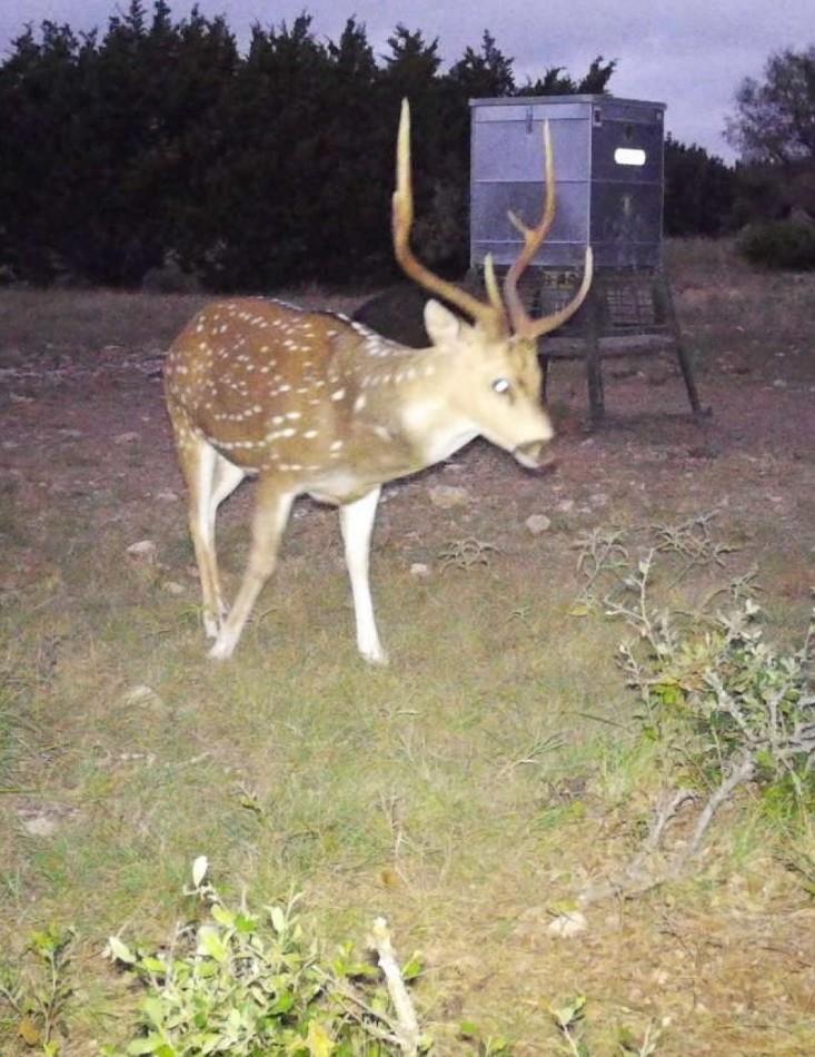 main property photo 0