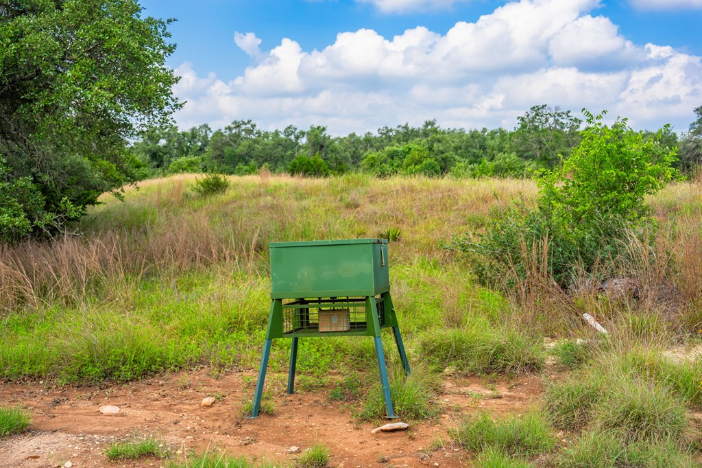 main property photo 40