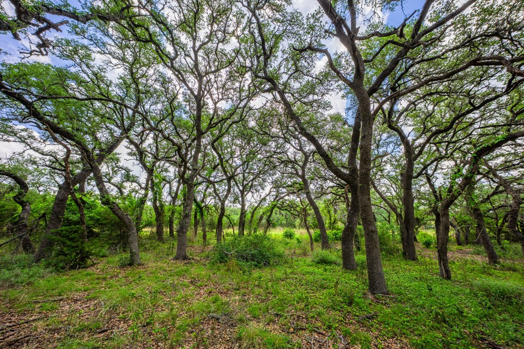 main property photo 45