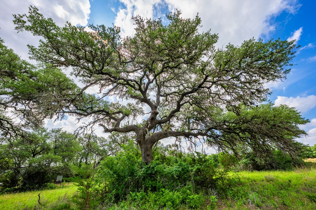 main property photo 48