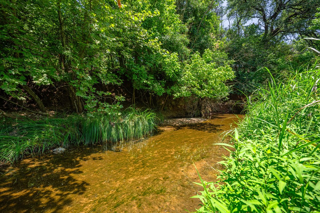 main property photo 58